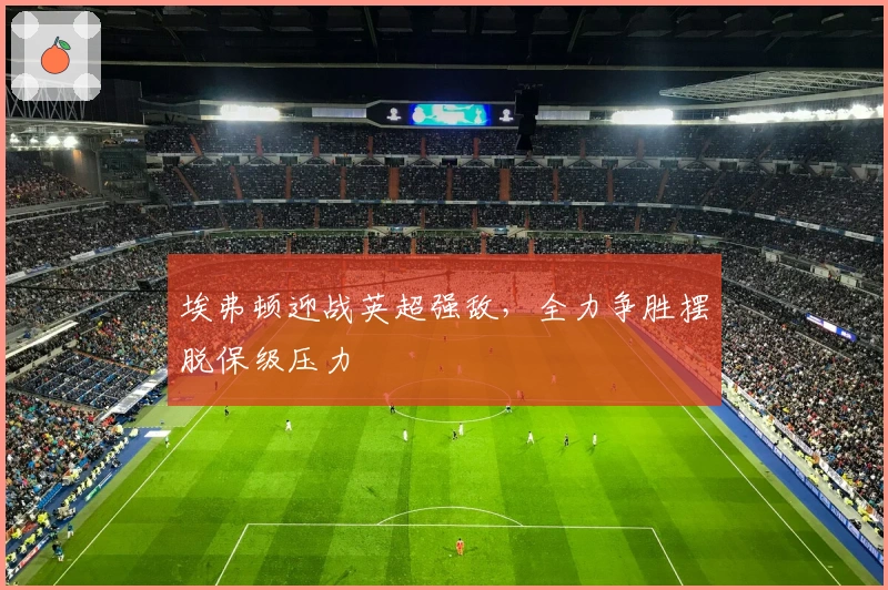 埃弗顿迎战英超强敌，全力争胜摆脱保级压力