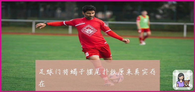 足球门将蝎子摆尾扑救原来真实存在